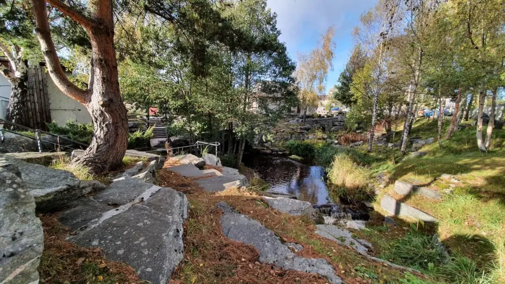 Established highland landscape at the entrance to the Dell of Spey, Aviemore