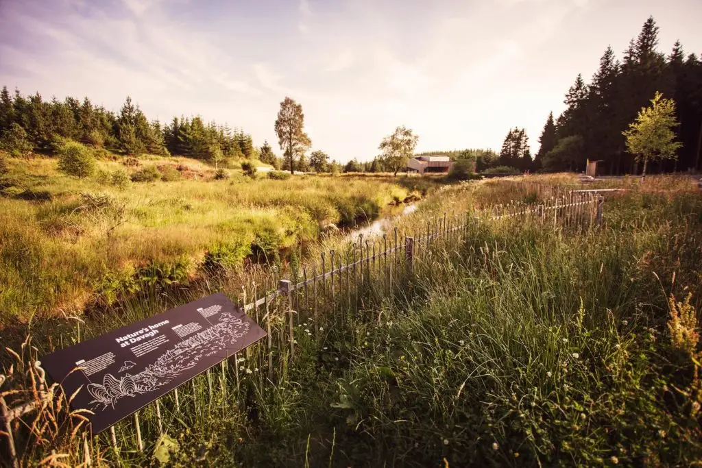 Visitor arrival and outdoor interpretation at Davagh Forest Observatory