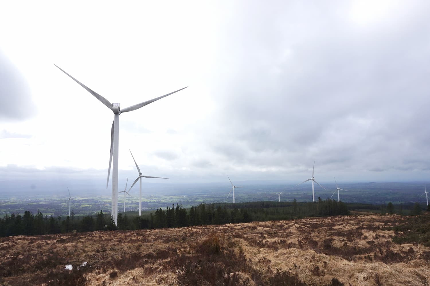 Surveying the Beara Breifne Way
