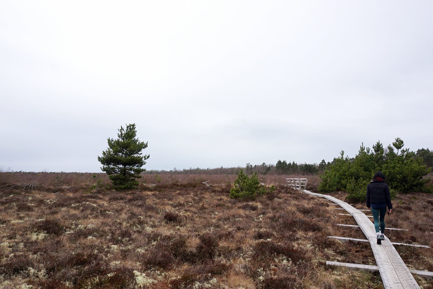 Surveying the Beara Breifne Way