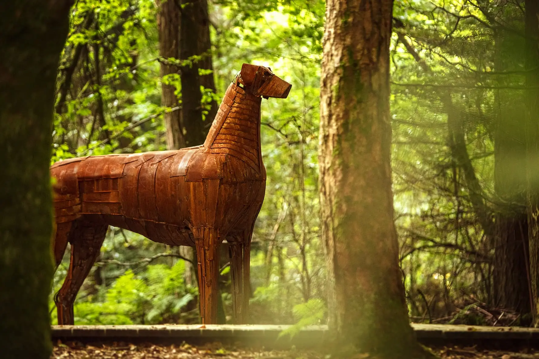 The Paul Hogarth Company — Interpretative sculpture trail in Slieve Gullion Forest Park