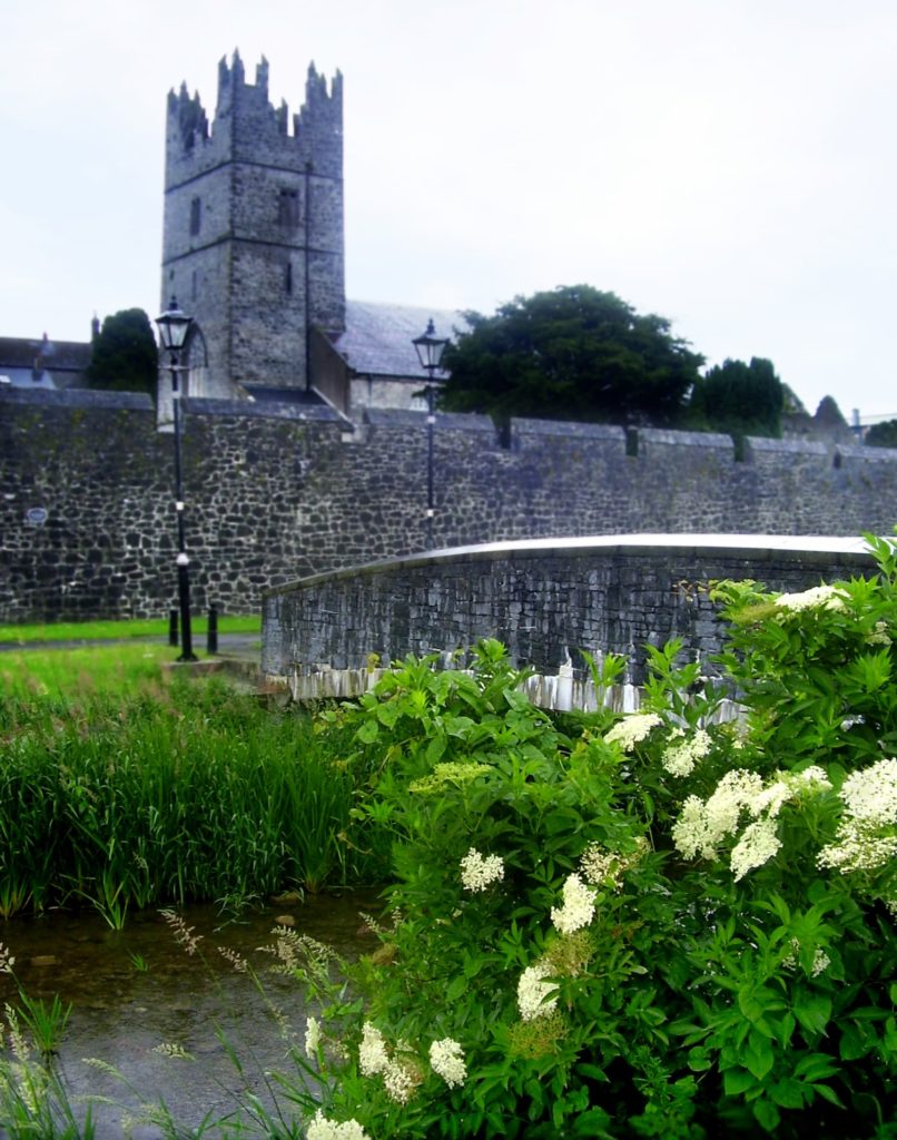 Public realm plan to improve the setting of Fethard's historic monuments.